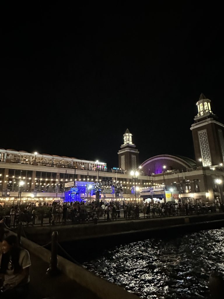 Navy Pier night
